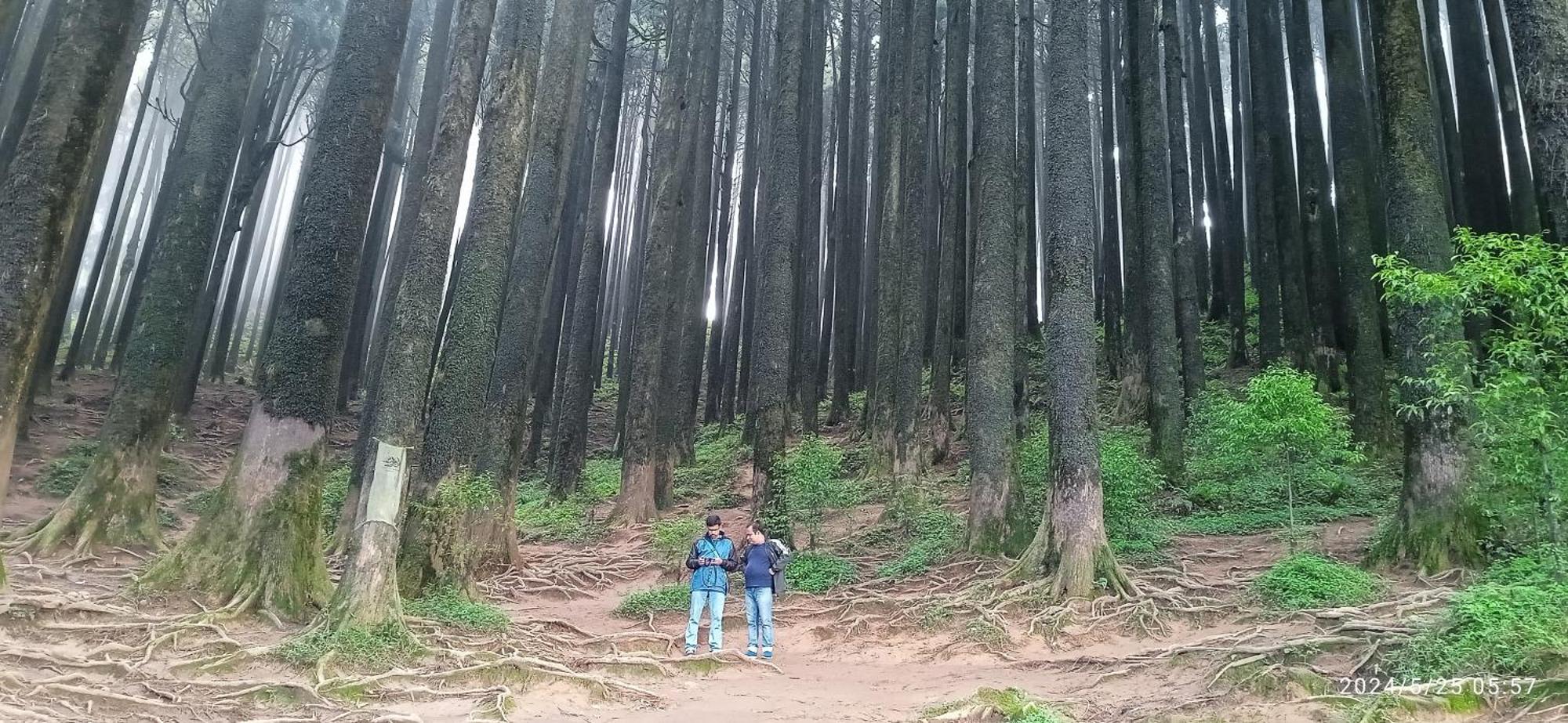 Lama Homestay ดาร์จีลิง ภายนอก รูปภาพ