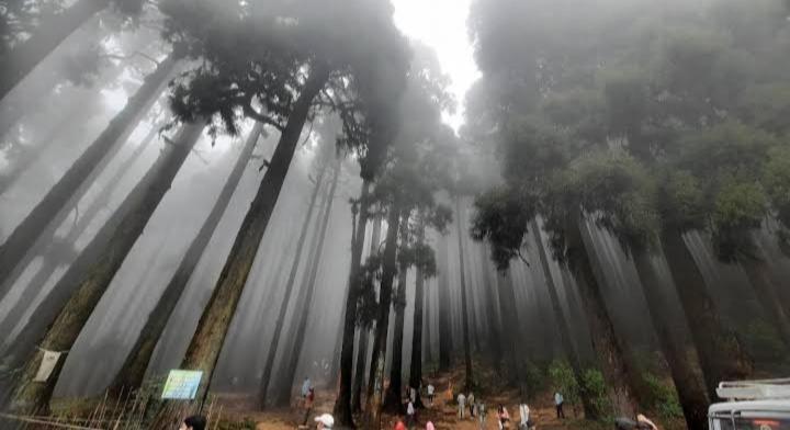 Lama Homestay ดาร์จีลิง ภายนอก รูปภาพ