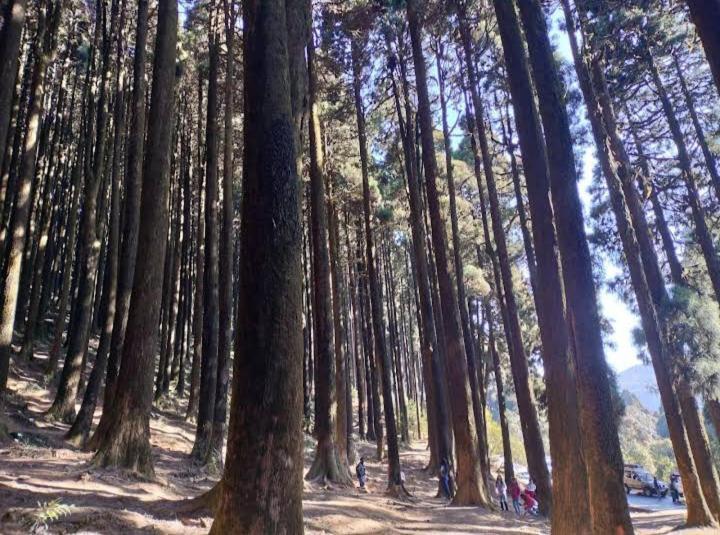 Lama Homestay ดาร์จีลิง ภายนอก รูปภาพ